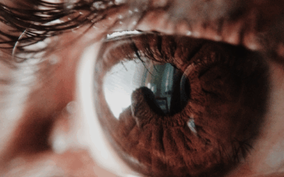 EMDR Therapy: A Powerful Path to Trauma Healing
